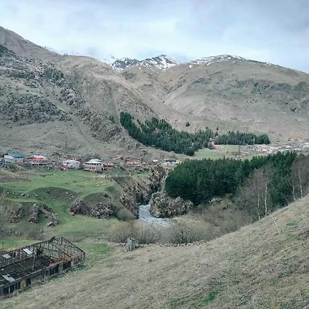 Vardisubani Villa Kazbegi Exterior foto