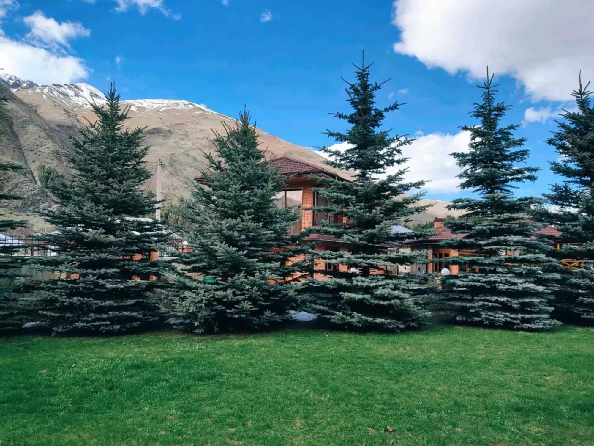 Vardisubani Villa Kazbegi Exterior foto